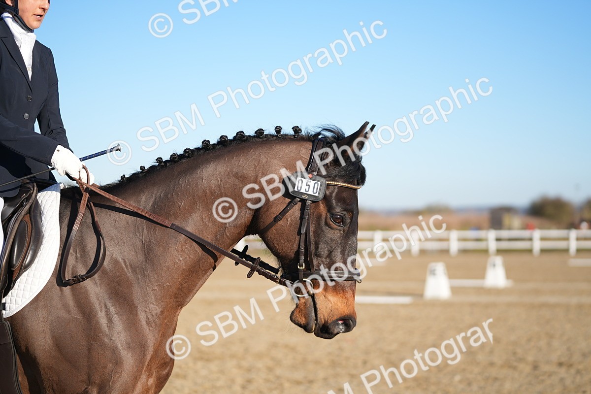 SBM_005708 - Class 6 - E1-80cm