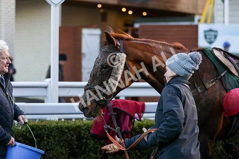 281223-Race 5-Crixuss Escape-3537 - Race 5