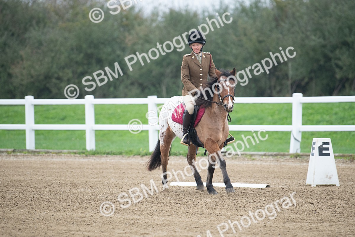 SBM_003395 - Introductory Test 3