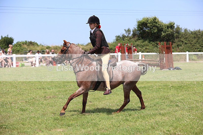 JPP_2438 - Class 21: Working Hunter 60cm