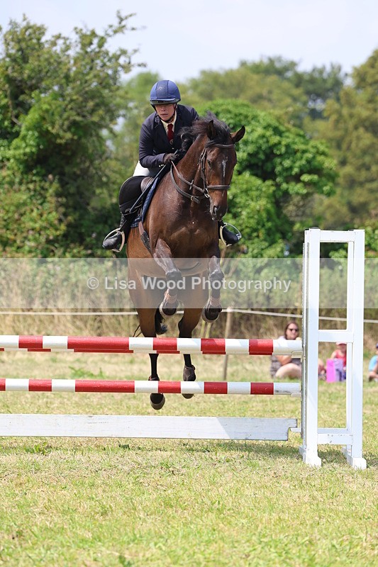 3E7A2963 - Class 7: Senior British Novice/90cm open