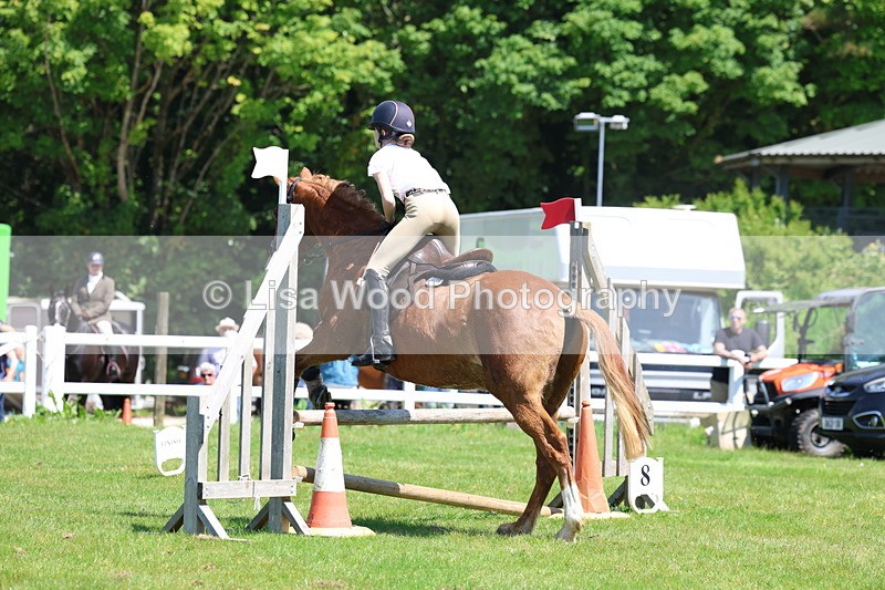 3E7A7126 - Class 30: Novice Working Hunter