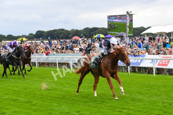 240823-Race 2-Dragon Leader-0231 - Race 2 2.25pm Goffs UK Harry Beeby Premier Yearling Stakes