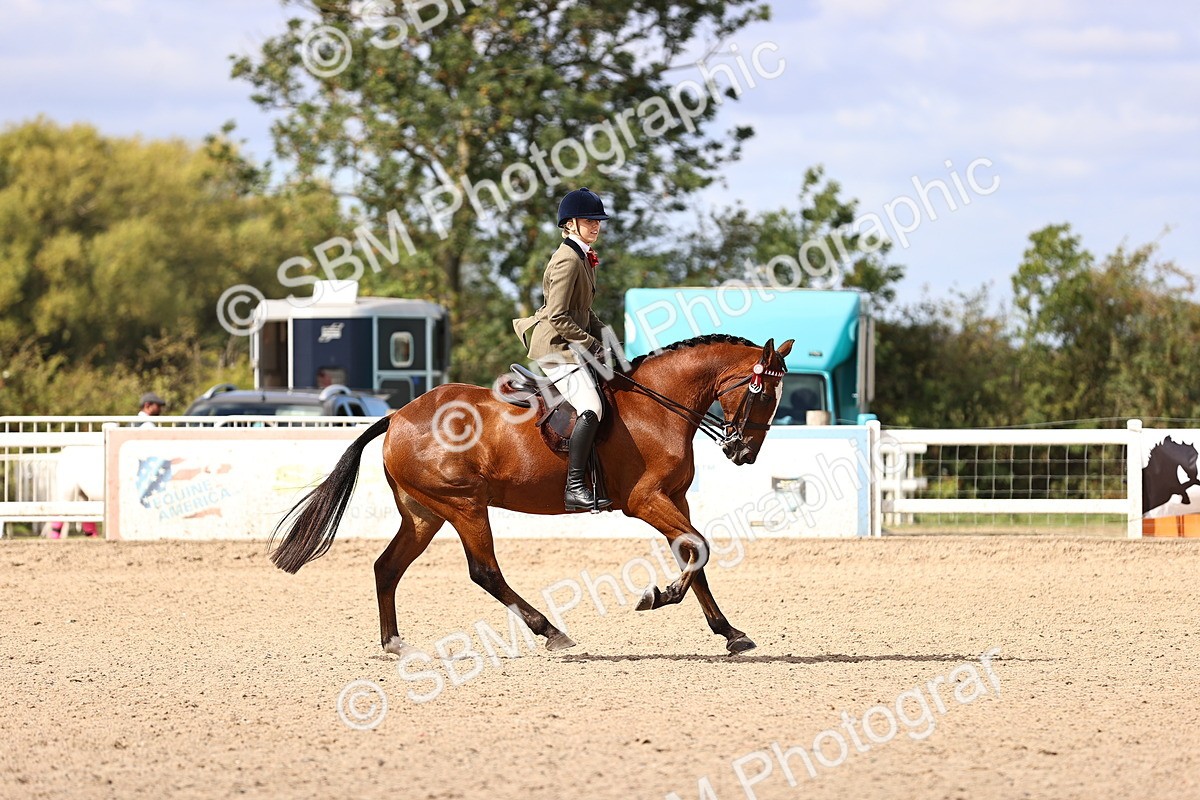 SBM_12931 - Class 410 - Grassroots Ridden - Horse