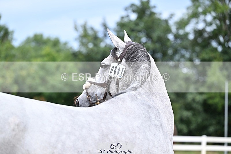 250716-132218-00466 - Trot Up 12.30 to 1.30