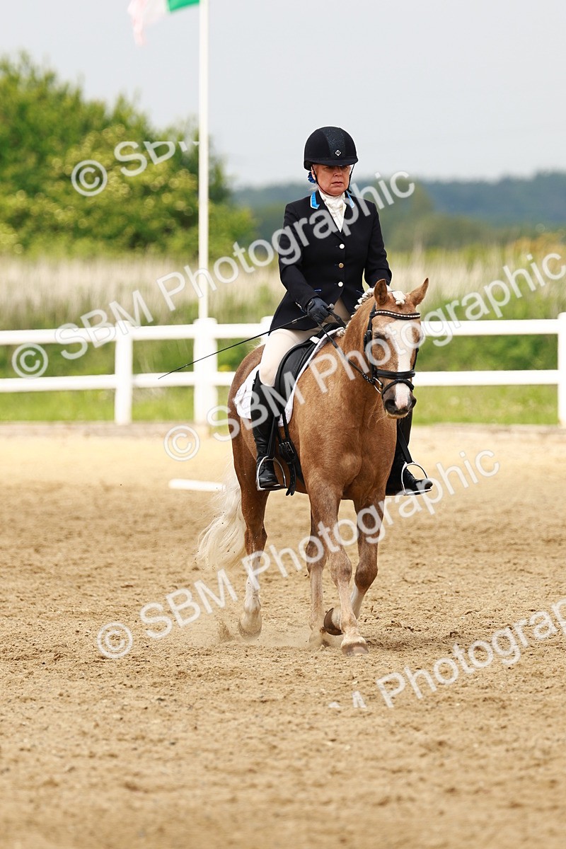 SBM_001766 - Class 7 - Novice 5