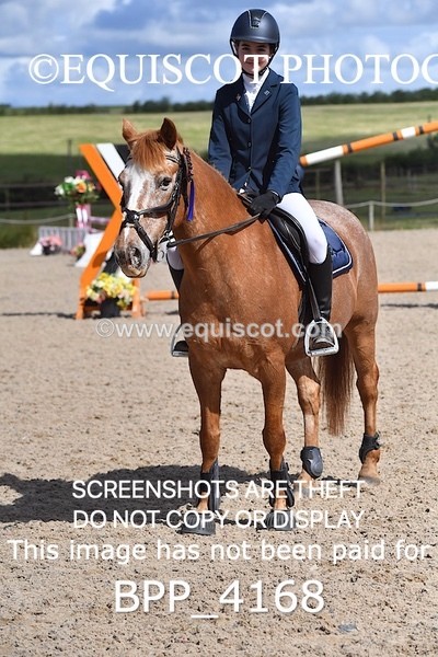BPP_4168 - CLASS 15 SUN Pony British Novice / 0.80m Open