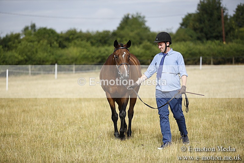 _C7A9143 - BVRC Sow 2018 Ring 2