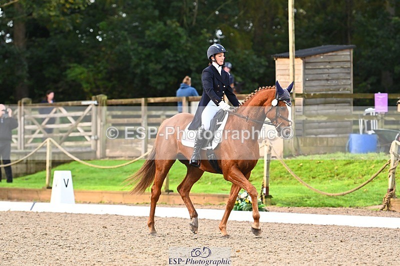 231021-090241-12747 - 322-BALLYBOLGER.LIONMAN-Sarah.Perry-DR