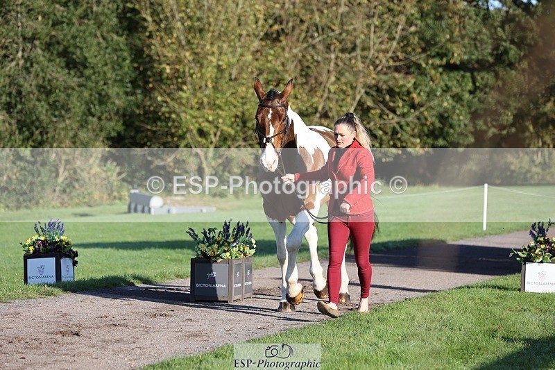 241027-090447-15010 - 304-Rachel.Brockington-LYNWOOD.CLEAR.CUT