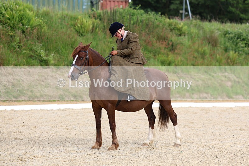 3E7A1646 - Class 2: Intro 2 2024 Section B