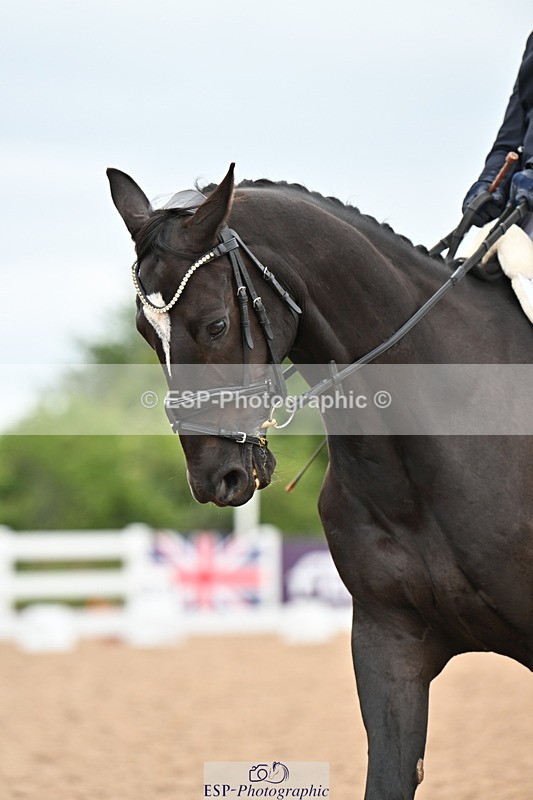 240623A-115700-17620 - Cls 48 BD Novice 37A