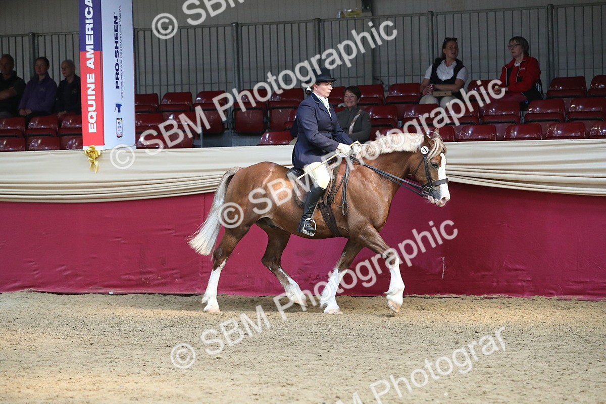 SBM_16289 - Class 502 M&M Ridden Supreme Final