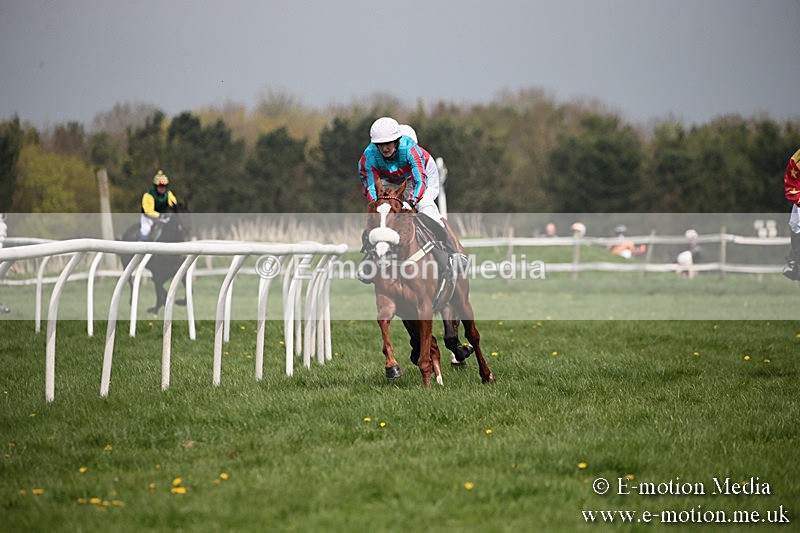 PtP 210418 6 - South & West Wilts Point-to-Point Larkhill 21/04/18