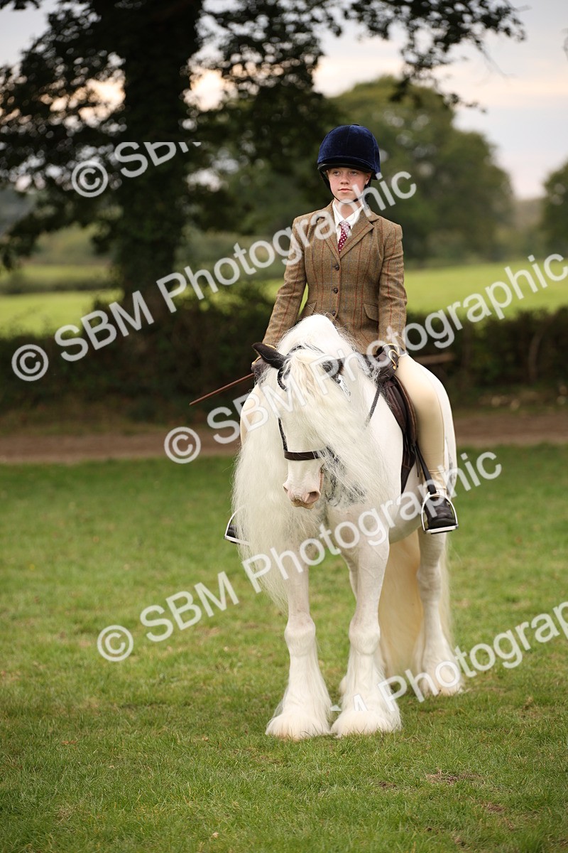 SBM_73460 - S68 - Traditional Cob Ridden