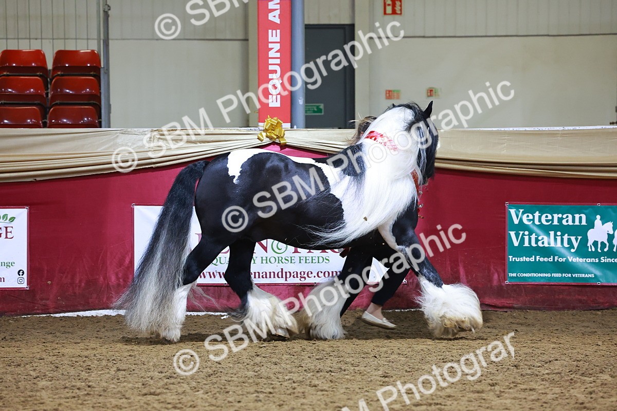 SBM_14935 - Class L - Coloured Champ