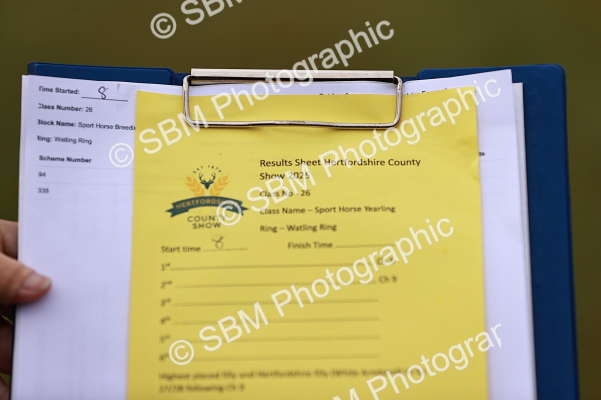 SBM_00662 - Class 26-30 Sport Horse In Hand