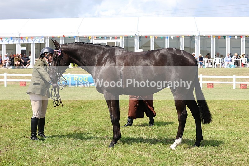 3E7A1230 - Class 8: Open Riding Horse/Hack