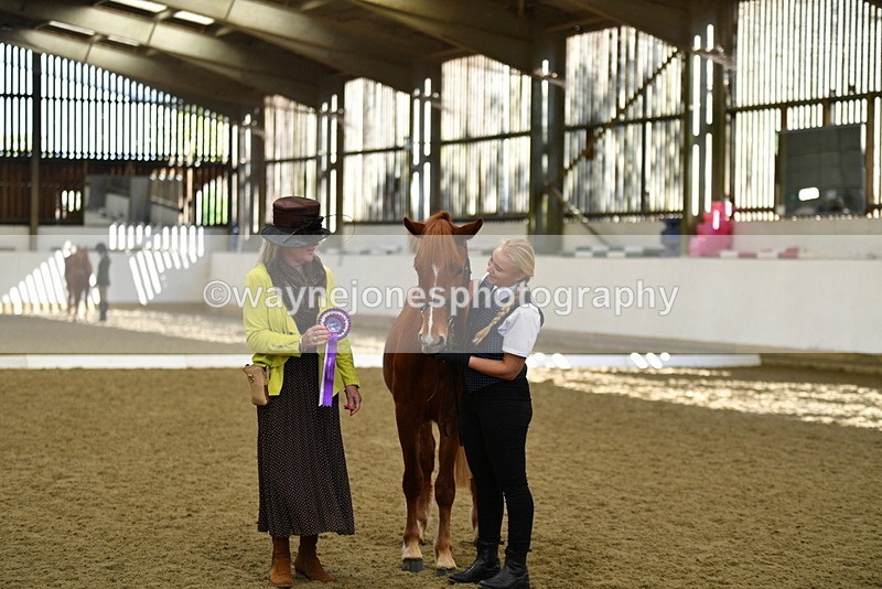 WJ5_4160 - Class 2 Best Condition In hand