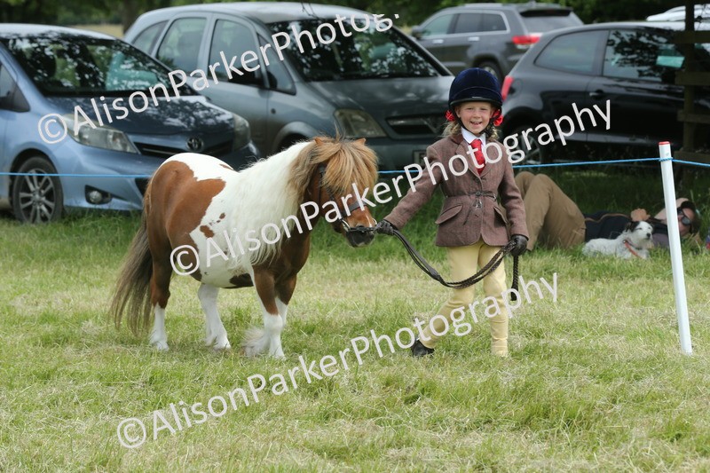 20260614-4262 - Class 18 - Best Junior Handler