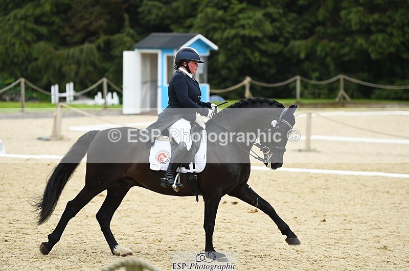 230426-165300-02106 - Cls 12 FEI Intermediate I