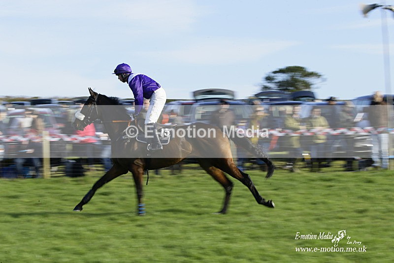 PtP 300122 166 - South Dorset Hunt - Point-to-Point Races 30/01/2022