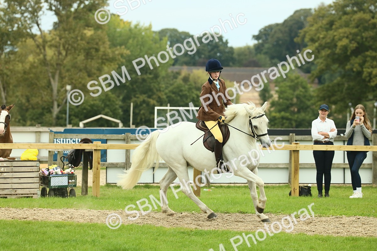 SBM_72171 - S60 - Mountain & Moorland Ridden Large Breeds