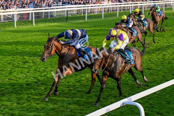 111025-Race 7-Lets Dream-0724 - Race 7 Coral 'Committed To Safer Gambling' Finale Handicap at York