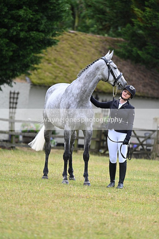 WJ7_6151 - Class 4a Prettiest Mare over 14hh