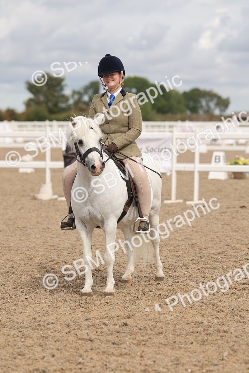 SBM_04537 - Class 19 - Horse/Pony Judge would most like to take home