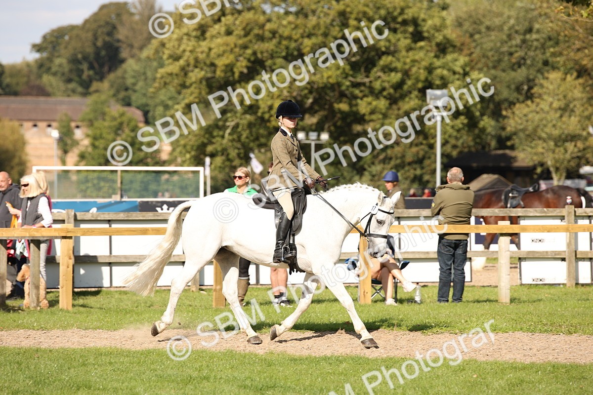 SBM_50052 - S26 - Young Veteran - Ridden