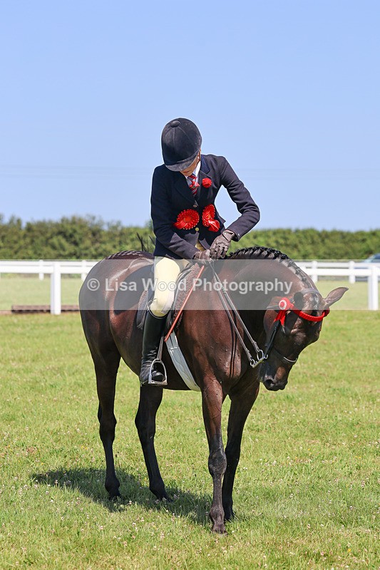 IMG_2140 - Plaited Ridden Championship
