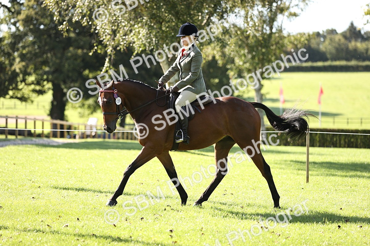 SBM_16915 - S2 - TSR Ridden Pony Showing