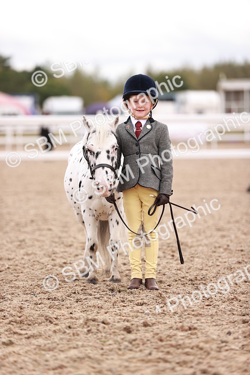 SBM_18561 - Class 421 - Childs Best Friend - Jnr