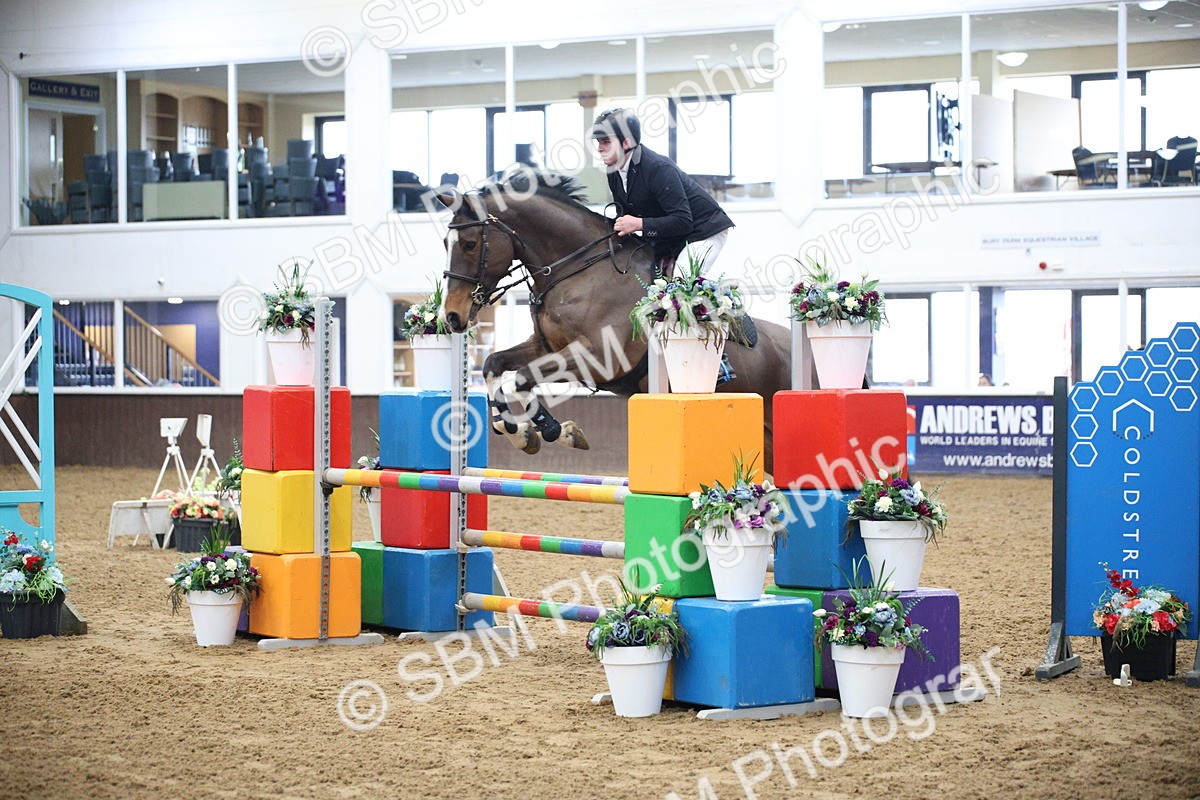 5K7A3810 - Class 2 - Nupafeed Supplements Senior Discovery/ 1m Open