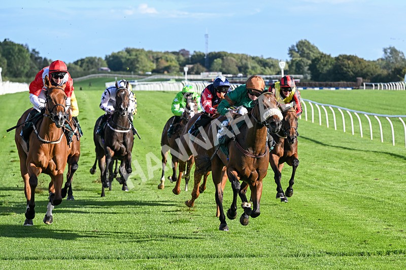 080926-Race 7-Military Girl-3328 - Race 7 5.21pm RMG Proudly Supports Teenage Cancer Trust Handicap