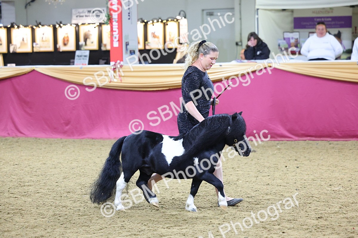 SBM_19227 - Class J Coloured Champ