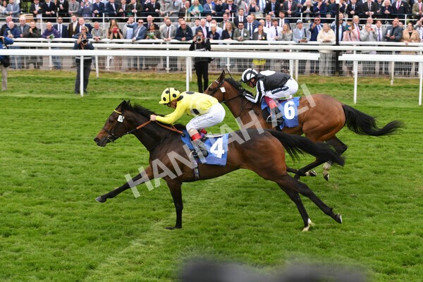 yr13052022r2-32 - Race 2 2.25pm Oaks Farm Stables Fillies' Stakes (registered as the Michael Seely Memorial Stakes)