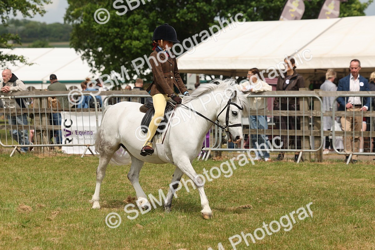 SBM_06858 - Class 74-75 - M&M Lead Rein and First Ridden Pony