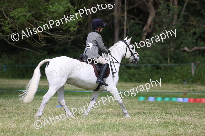 20260614-0554 - Class 20 - Beginners Working Hunter Pony