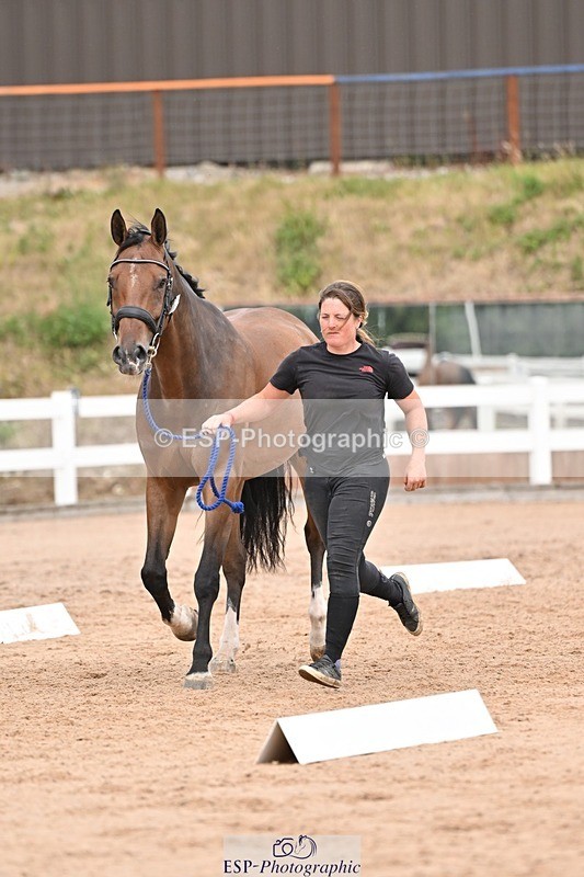 250716-161541-02529 - Trot Up 3.30 to 4.30