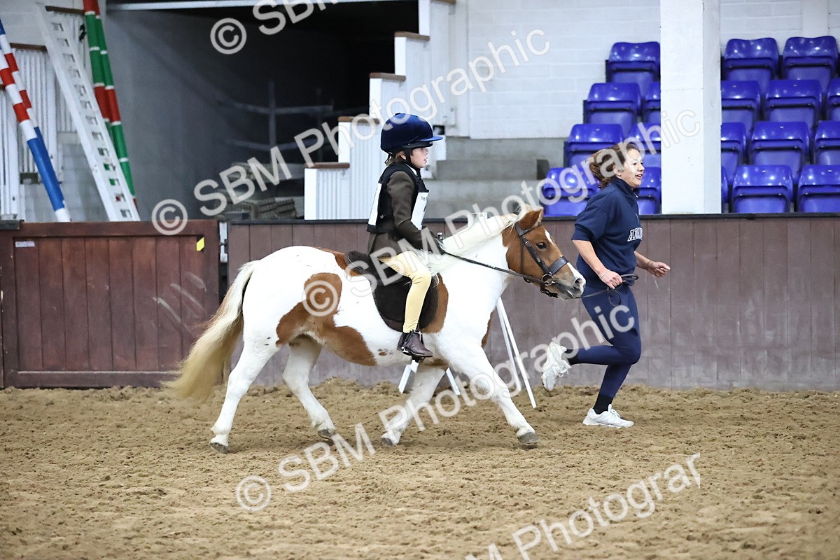 SBM_000030 - Class 1 - Fox Farriers 30cm