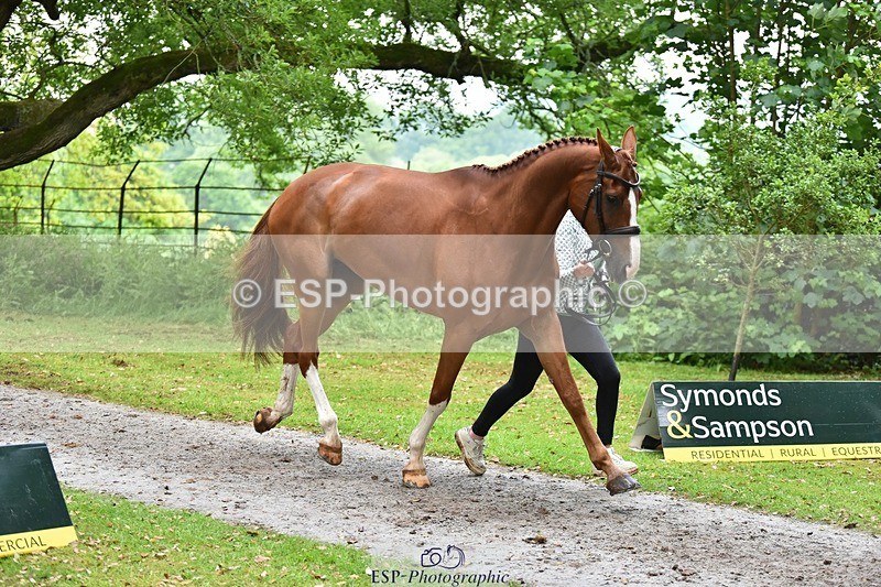 240522-172810-01631 - 289-JUST_A_JOLLY-Flora_Harris