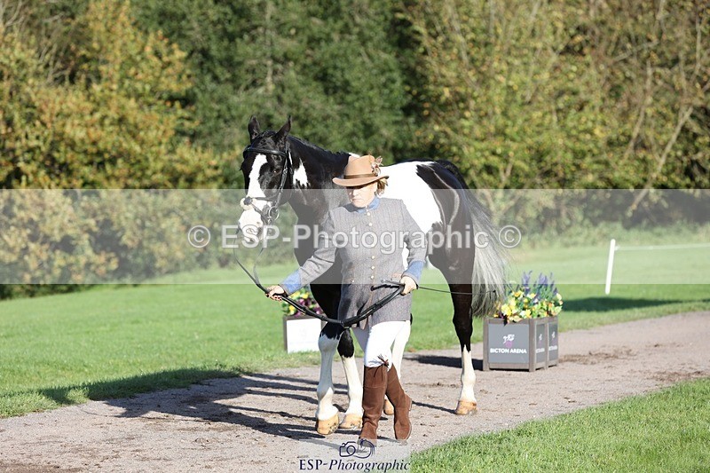 241027-093710-15393 - 454-Judy.Hollidge-CORBETT