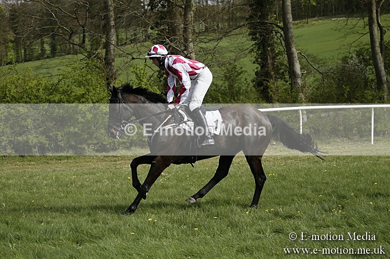 PtP 170417 243 - Old Berks Point-to-Point Lockinge 17/04/17