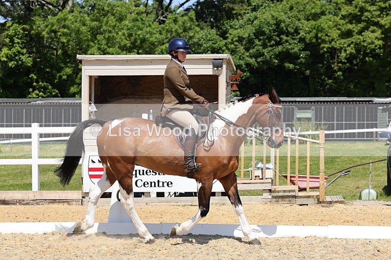 1X9A1815 - Class 12: Ridden Riding Horse/Hack