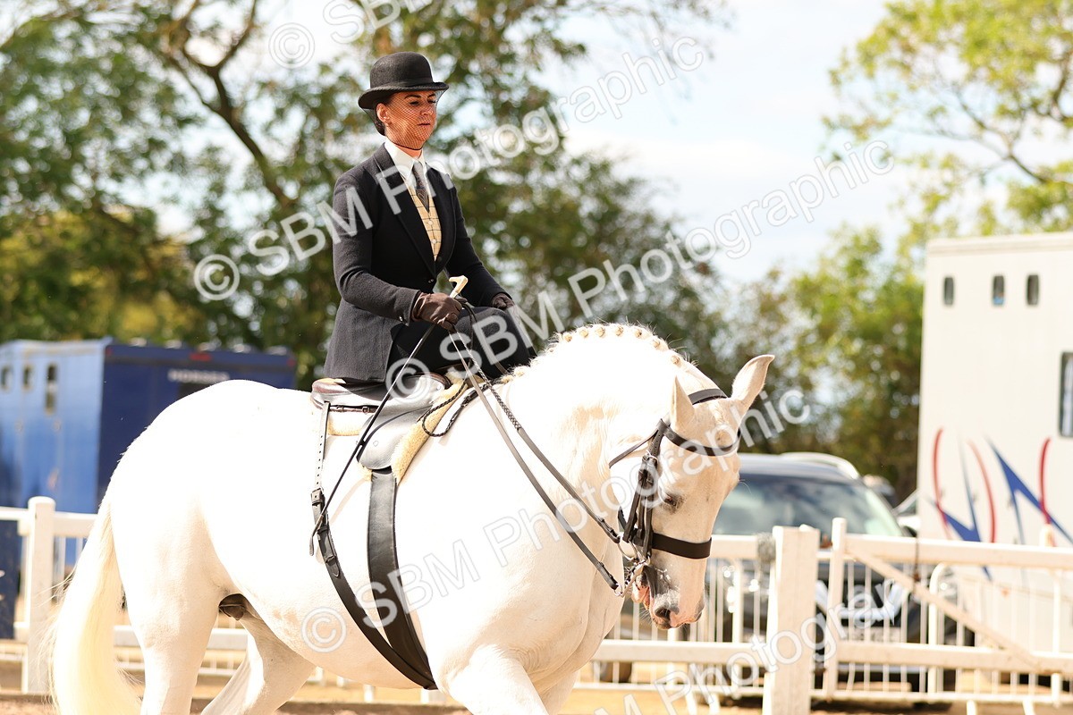SBM_15904 - Class 216 - Best Side Saddle Horse-Pony