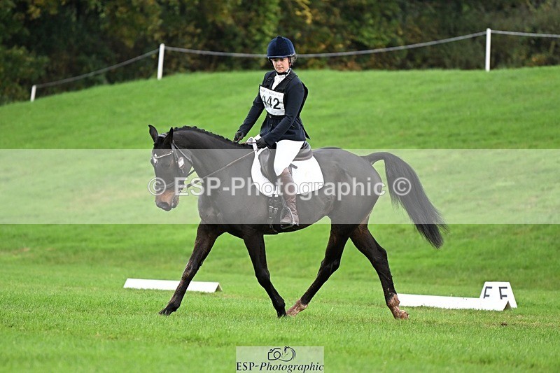 241025-093906-05825 - 442-Bethany.Hall-ZEPHYR.II