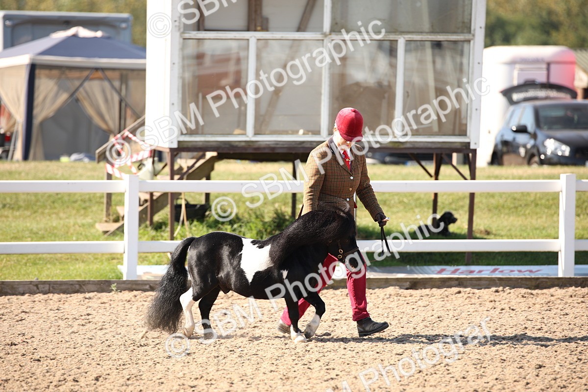 SBM_01473 - Class 15 IH Coloured