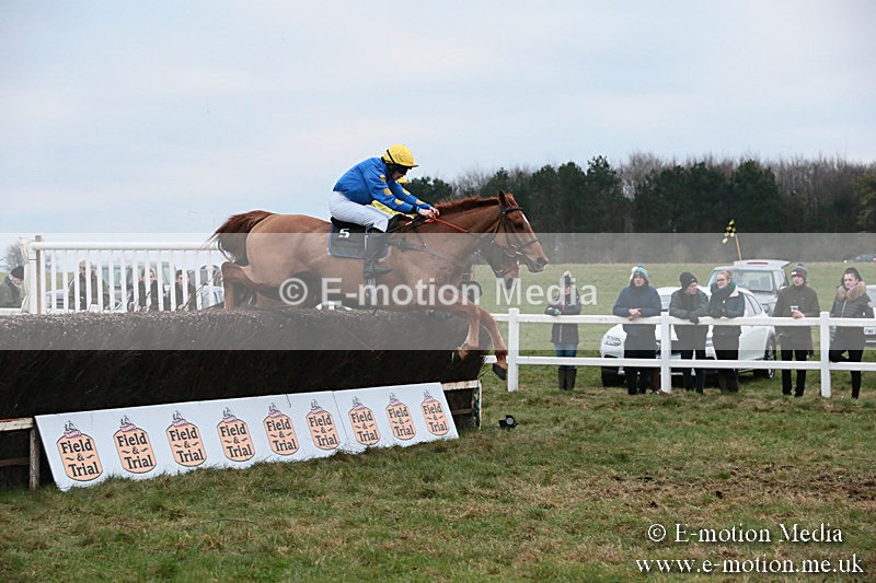 PtP 060119 593 - Larkhill Racing Club - Point-to-Point- 06/01/2019